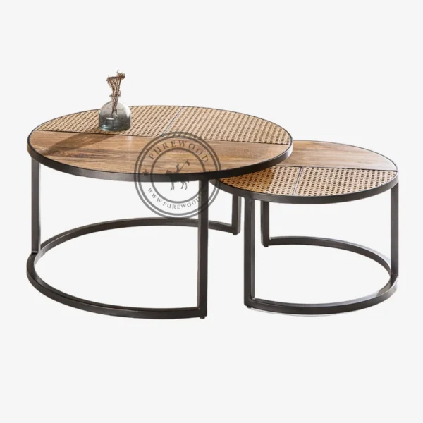 Dahlia Coffee Table - Image 1